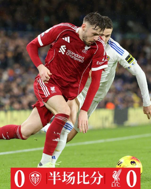 1765061514600074677.jpg 002qafIwgy1i81qdneqdoj61jk1xgnpd02.jpg