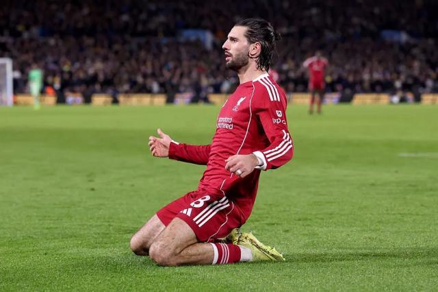 1765061602427008180.jpg 1765061399023.jpg